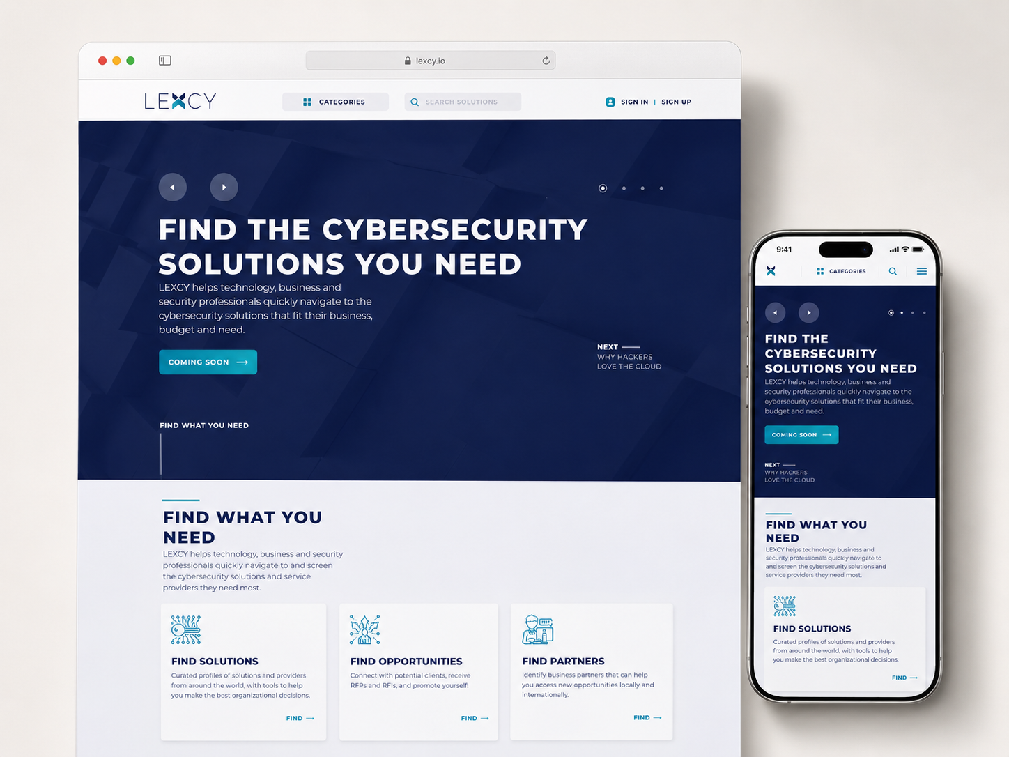 Lexcy cybersecurity discovery platform UI/UX designed by Monique Meintjes.